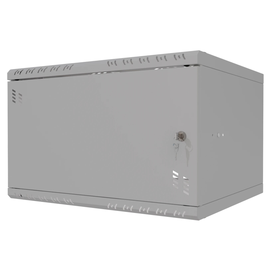 Riiulikapp 19" 6U, 450mm, Metallist uks, Hall