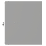 Riiulikapp 19" 9U, 450mm, Klaasuks, Hall